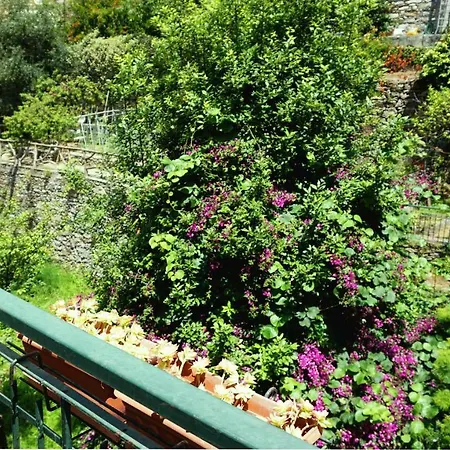 Liguria Holidays - 